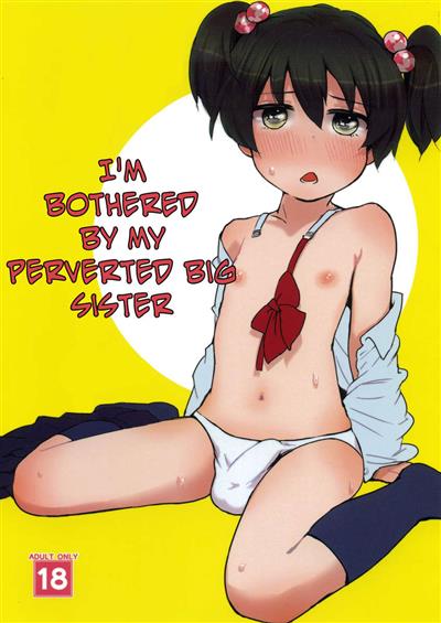 I'm Bothered By My Perverted Big Sister / 僕のねーちゃんが変態で困る。 cover