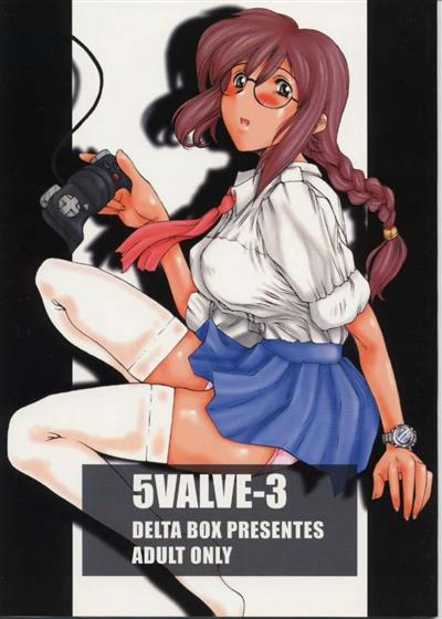 5VALVE-3 cover