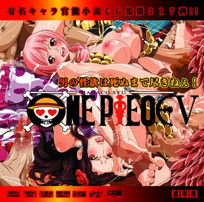 Yuumei Chara Kannou Shousetsu CG Shuu No. 317!! One Piece 5 HaaHaa CG Shuu / 有名キャラ官能小説CG集 第317弾!! ワンピー○5はぁはぁＣＧ集 cover