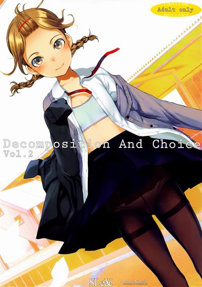 Decomposition And Choice Vol.2 cover