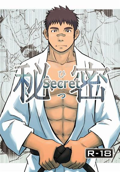 Himitsu | Secret / 秘密 cover