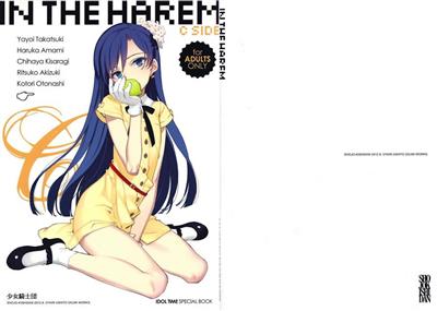 IN THE HAREM - C SIDE cover