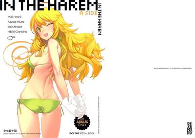 IN THE HAREM - A SIDE cover