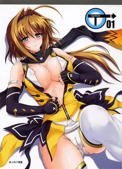 T-01 cover